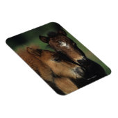 ミニチュアフォール2 マグネット (右側)