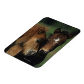 ミニチュアフォール2 マグネット (左側)