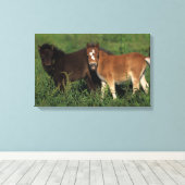 ミニチュアフォールin Grass キャンバスプリント (インサイチュ (ウッドフロア))