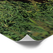 ミニチュアフォールin Grass ポスター (角)