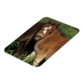 ミニチュアフォールin Grass マグネット (左側)