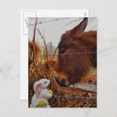 ミニチュアブラウンホース&イースターバニー シーズンポストカード (正面/裏面)