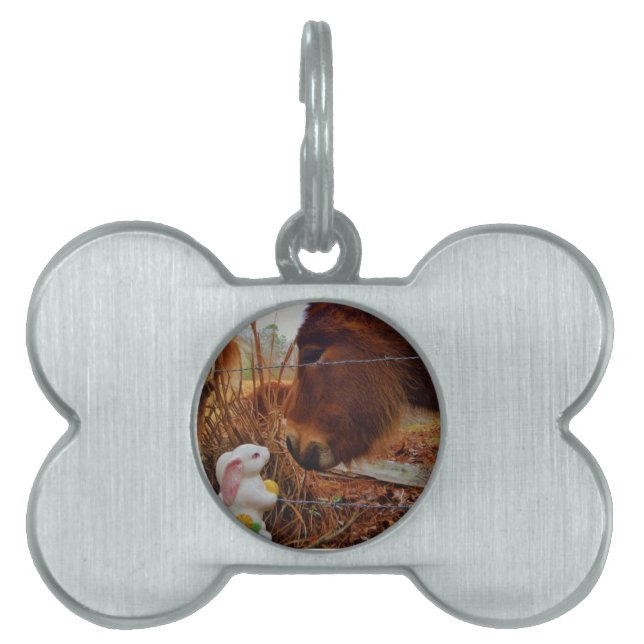 ミニチュアブラウンホース&イースターバニー ペットネームタグ (正面)