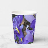 ミニチュアブルーアイリス春フローラ 紙コップ (右)
