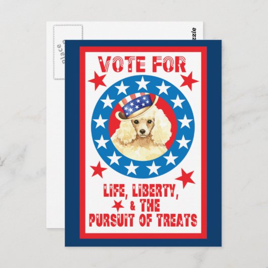 ミニチュアプードルに投票 ポストカード (正面/裏面)