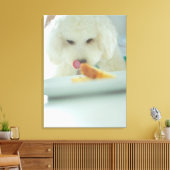 ミニチュアプードルの食べ食べ物のクローズアップ キャンバスプリント (インサイチュ (リビング))