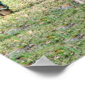 ミニチュアホースフォールカスタマイズ-子馬&フィリー ポスター (角)