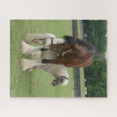 ミニチュアポニーの上に立つクライデスデール ジグソーパズル (横)