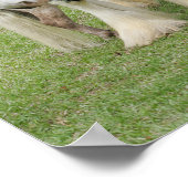 ミニチュアポニーの上に立つクライデスデール ポスター (角)