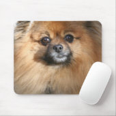 ミニチュアポメラニア犬のマウスパッド マウスパッド (マウス)