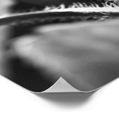 ミニチュアマンティス ポスター (角)