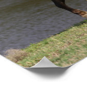 ミニチュアマーレアンドフォール歩くバイレイク ポスター (角)