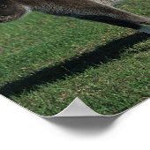 ミニチュアマーレ&フォーアルスタンド ポスター (角)