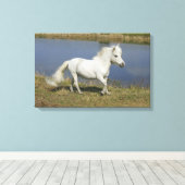 ミニチュアランニングウマの近くの水 キャンバスプリント (インサイチュ (ウッドフロア))
