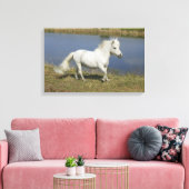 ミニチュアランニングウマの近くの水 キャンバスプリント (インサイチュ (リビング))