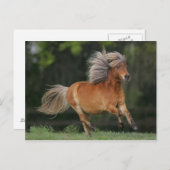 ミニチュアランニングウマ ポストカード (正面/裏面)