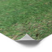 ミニチュアランニングフォール ポスター (角)