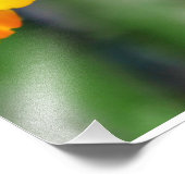 ミニチュアラン フォトプリント            (角)