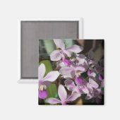 ミニチュアラン マグネット (正面/裏面)