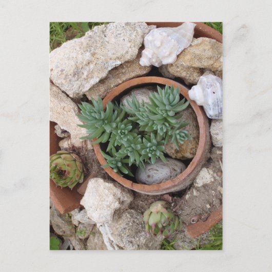 ミニチュアロッカリー ポストカード (正面)