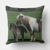 ミニチュアロバ及び子馬の地位 クッション (裏面)