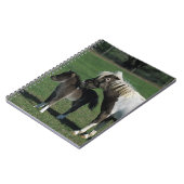 ミニチュアロバ及び子馬の地位 ノートブック (左側)