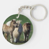 ミニチュアロバ及び子馬1 キーホルダー (裏面)