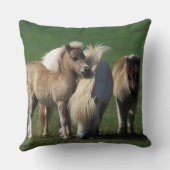 ミニチュアロバ及び子馬1 クッション (裏面)