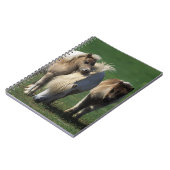 ミニチュアロバ及び子馬1 ノートブック (左側)