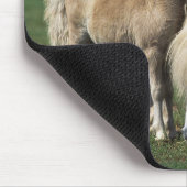 ミニチュアロバ及び子馬1 マウスパッド (コーナー)