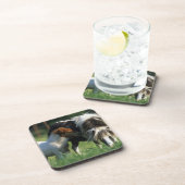 ミニチュアロバ及び子馬2 コースター (右側)