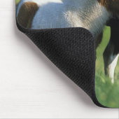 ミニチュアロバ及び子馬2 マウスパッド (コーナー)