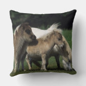 ミニチュアロバ及び子馬3 クッション (裏面)