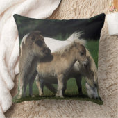 ミニチュアロバ及び子馬3 クッション (ブランケット)