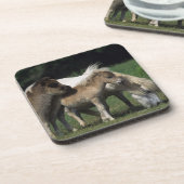 ミニチュアロバ及び子馬3 コースター (左側)