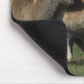 ミニチュアロバ及び子馬3 マウスパッド (コーナー)