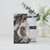 ミニチュアロバ ポストカード (スタンド正面)