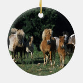 ミニチュア子馬のグループ セラミックオーナメント (裏面)