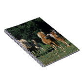 ミニチュア子馬のグループ ノートブック (右側)