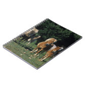 ミニチュア子馬のグループ ノートブック (左側)