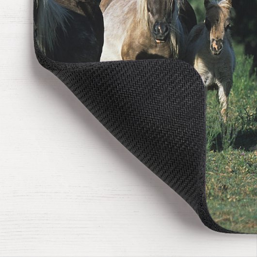 ミニチュア子馬のグループ マウスパッド (コーナー)