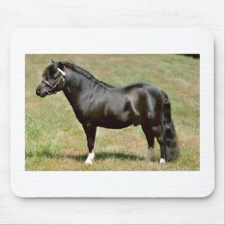 ミニチュア子馬の種馬 マウスパッド