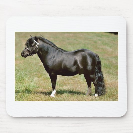 ミニチュア子馬の種馬 マウスパッド (正面)