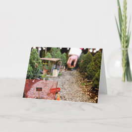 ミニチュア木のロット、ブランク シーズンカード