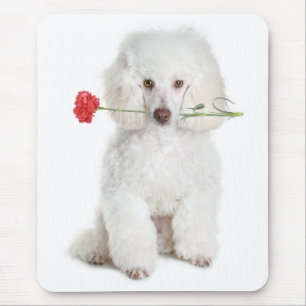 ミニチュア白いプードルの小犬の花のマウスパッド マウスパッド