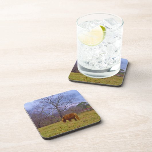ミニチュア茶色の馬の赤褐色の空 コースター (右側)