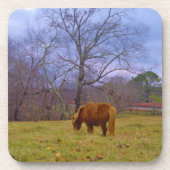 ミニチュア茶色の馬の赤褐色の空 コースター (正面)