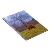 ミニチュア茶色の馬の赤褐色の空 ノートブック (右側)