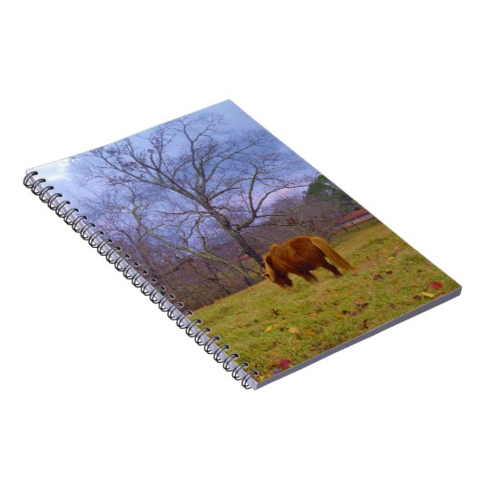 ミニチュア茶色の馬の赤褐色の空 ノートブック (右側)