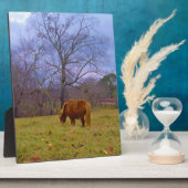 ミニチュア茶色の馬の赤褐色の空 フォトプラーク (側面)